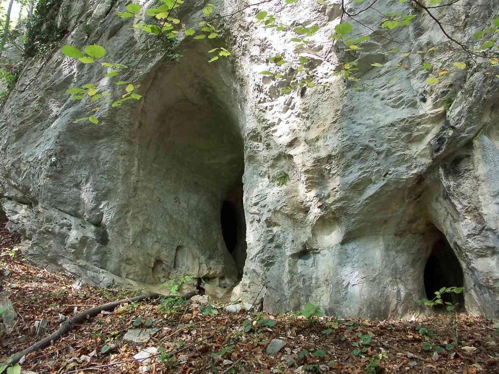 Peterbauer-Pumperskirchenhöhle